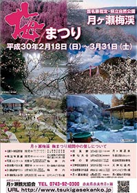 月ヶ瀬梅渓 梅まつり