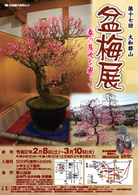 第十七回 大和郡山 盆梅展