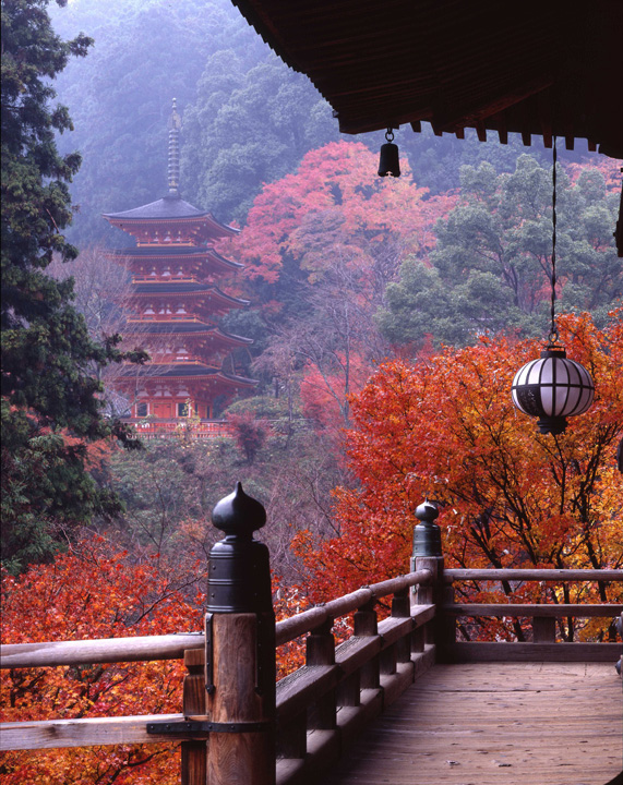 kouyou11_hasedera