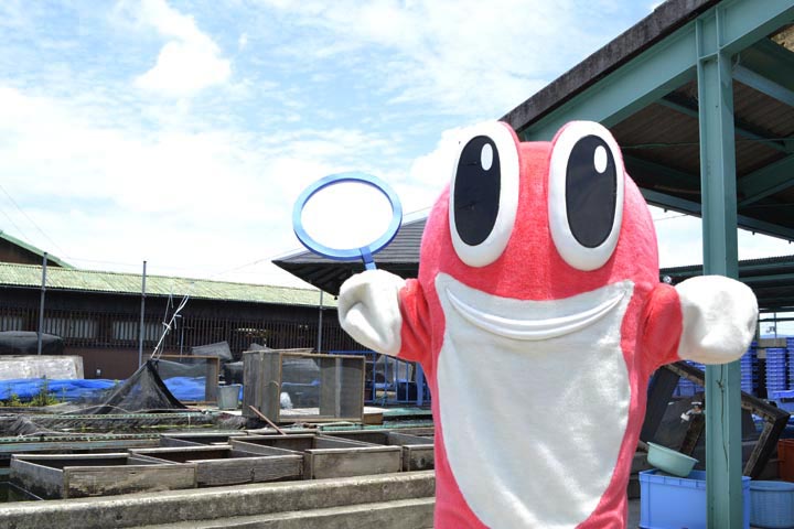 金魚資料館